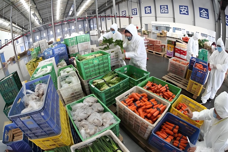 冷鏈倉庫分揀一般是干啥的(圖1)