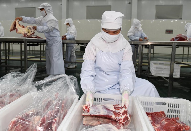 冷鏈運輸牛肉要注意什么(圖1)