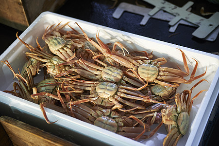 冷鏈運(yùn)輸螃蟹為什么是活的(圖1) 冷鏈運(yùn)輸螃蟹為什么是活的(圖1)