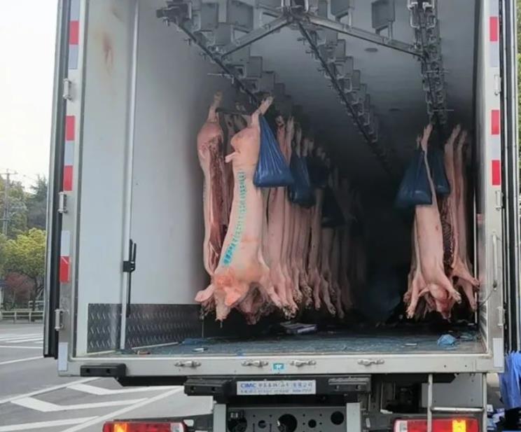 配送生鮮豬肉需要什么(圖1)