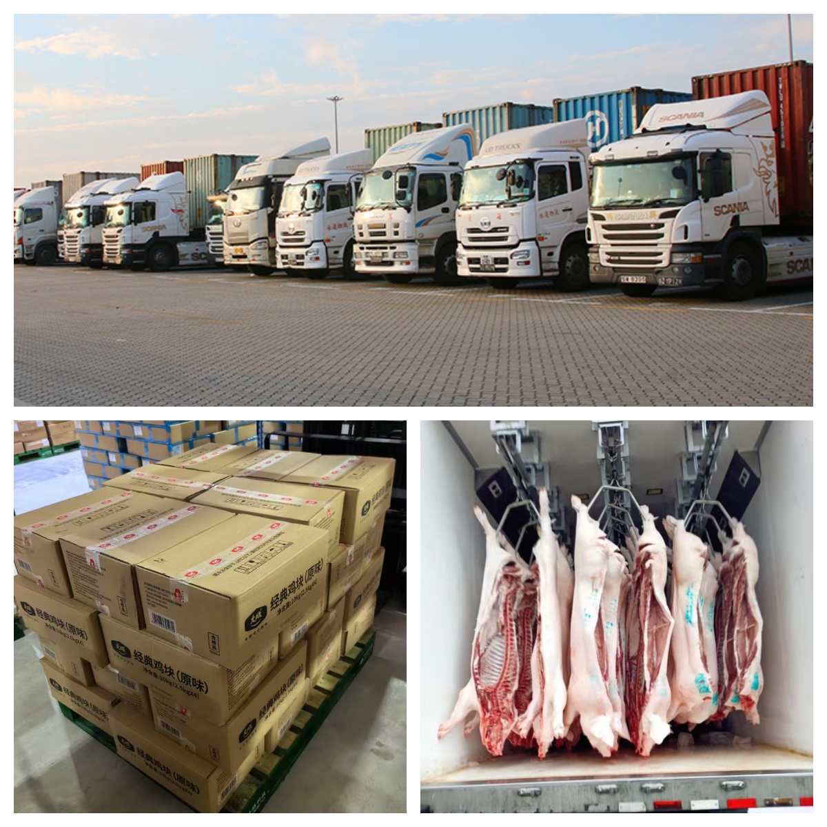 粵港澳冷鏈(圖1)